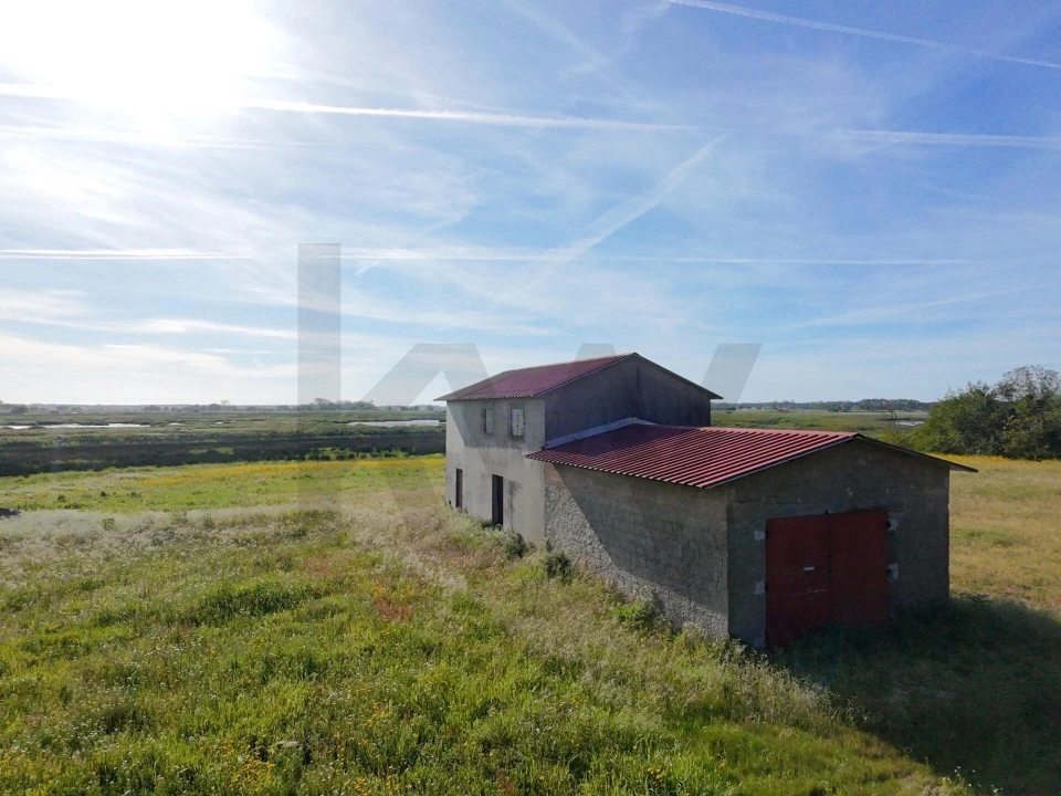Terreno para Venda em Valega Foto 1