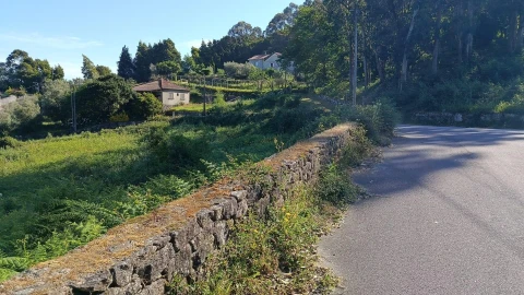 Terreno para Venda em Geraz do Lima (Santa Maria, Santa Leocádia, Moreira), Deão