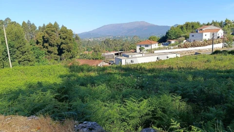 Terreno para Venda em Geraz do Lima (Santa Maria, Santa Leocádia, Moreira), Deão