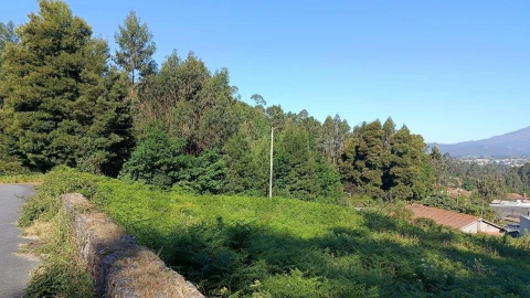 Terreno para Venda em Geraz do Lima (Santa Maria, Santa Leocádia, Moreira), Deão