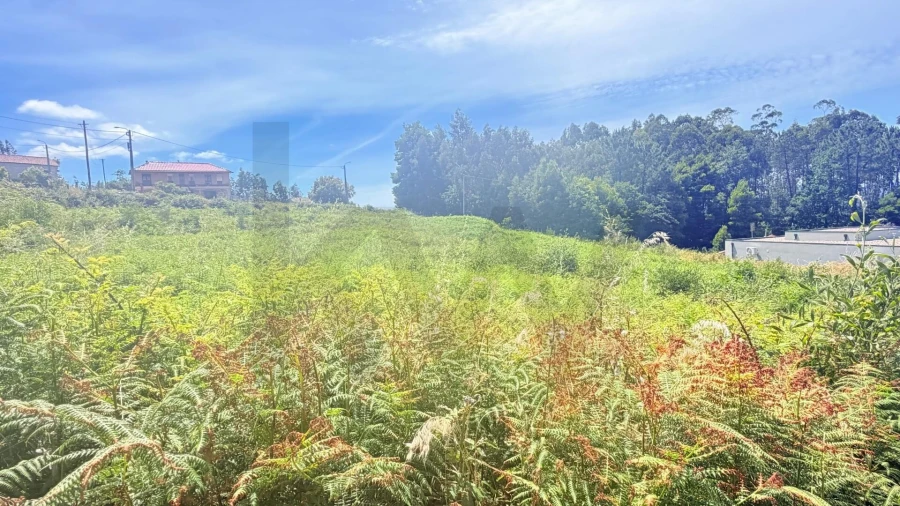 Terreno para Venda em Geraz do Lima (Santa Maria, Santa Leocádia, Moreira), Deão Foto 7