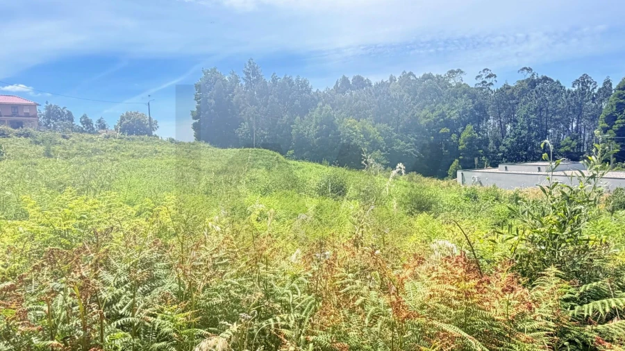 Terreno para Venda em Geraz do Lima (Santa Maria, Santa Leocádia, Moreira), Deão Foto 6