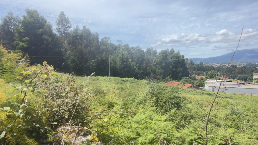 Terreno para Venda em Geraz do Lima (Santa Maria, Santa Leocádia, Moreira), Deão Foto 17