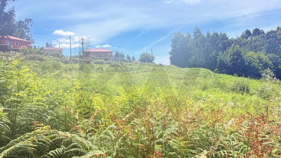Terreno para Venda em Geraz do Lima (Santa Maria, Santa Leocádia, Moreira), Deão Foto 5