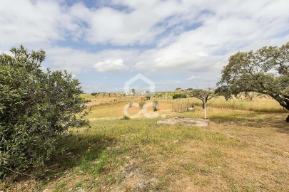 Quinta T3 para Venda em Amareleja