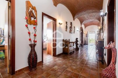 Quinta T3 para Venda em Amareleja