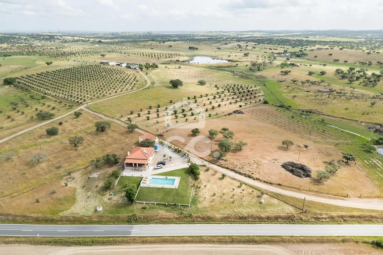 Quinta T3 para Venda em Amareleja Foto 64