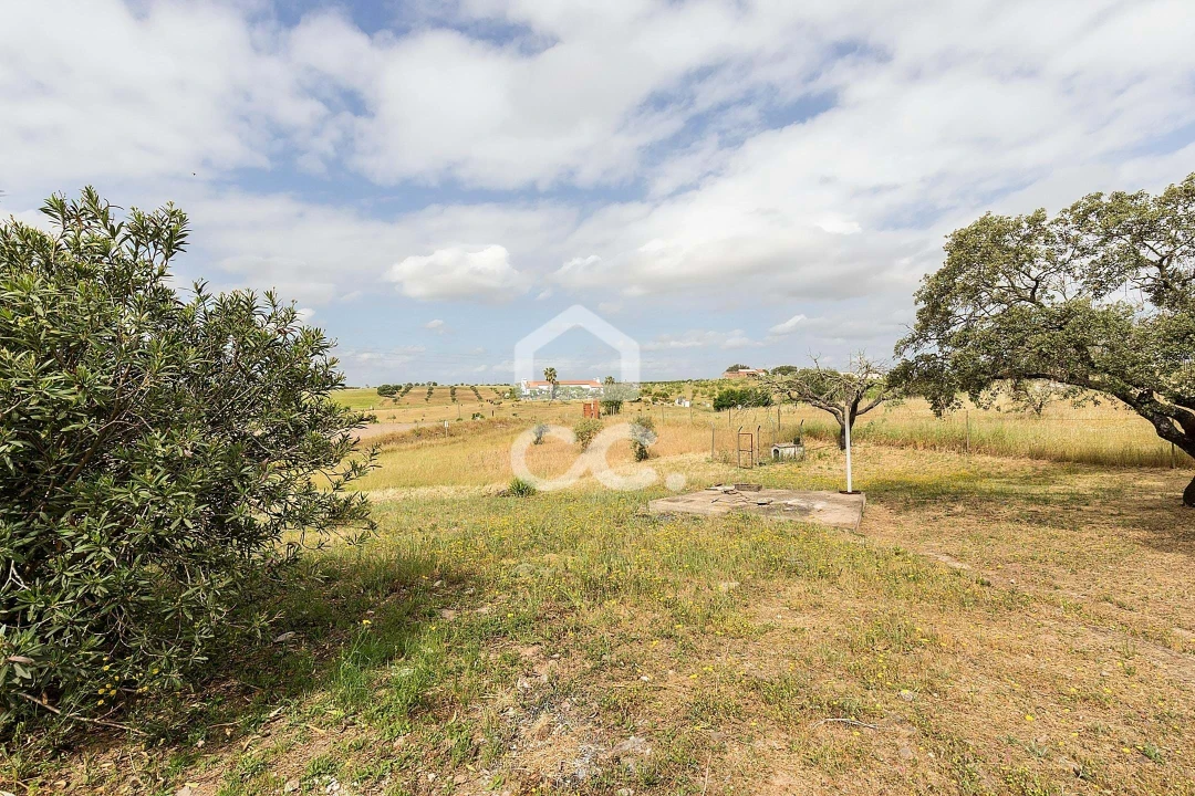 Quinta T3 para Venda em Amareleja Foto 44