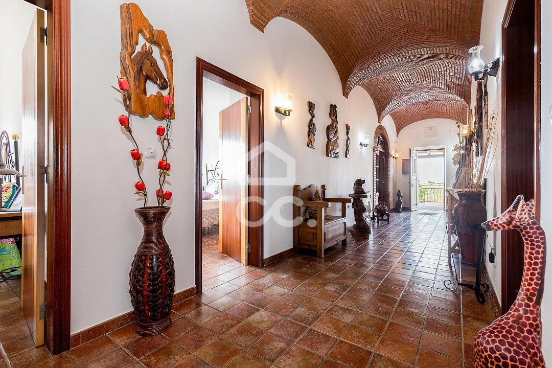 Quinta T3 para Venda em Amareleja Foto 18