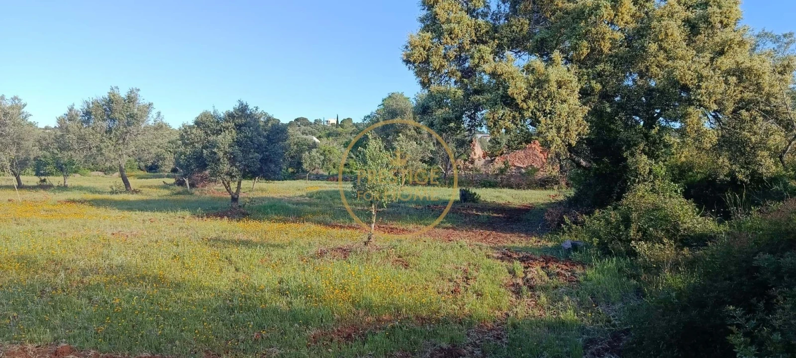 Moradia T2 para Venda em Loule (São Clemente) Foto 1