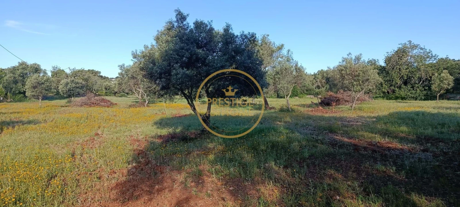 Moradia T2 para Venda em Loule (São Clemente) Foto 2