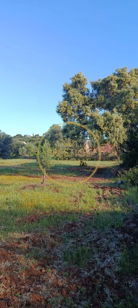 Moradia T2 para Venda em Loule (São Clemente)
