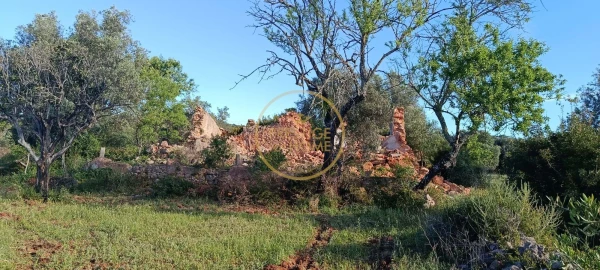 Moradia T2 para Venda em Loule (São Clemente)