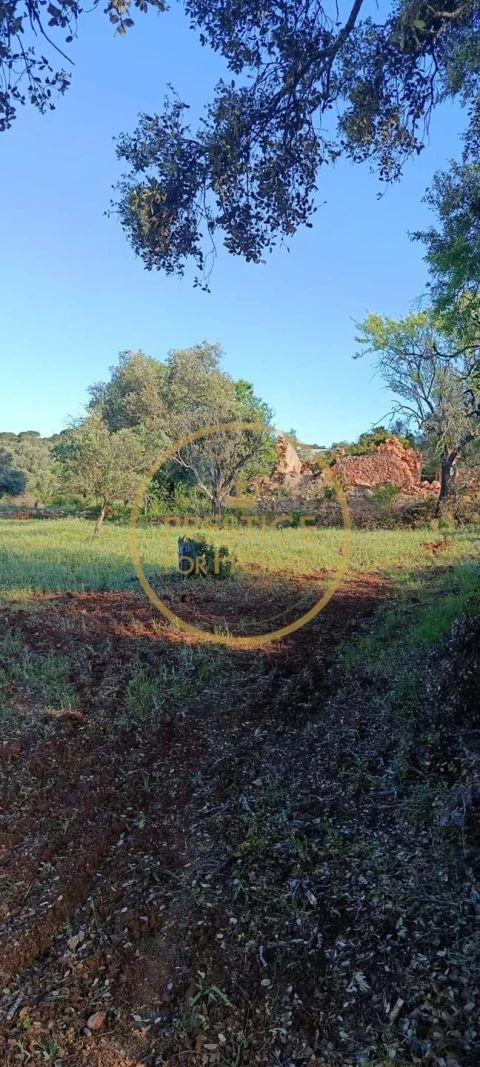 Moradia T2 para Venda em Loule (São Clemente)