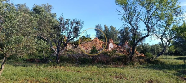 Moradia T2 para Venda em Loule (São Clemente)