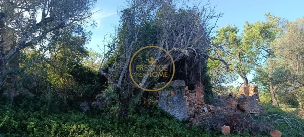 Moradia T2 para Venda em Loule (São Clemente)