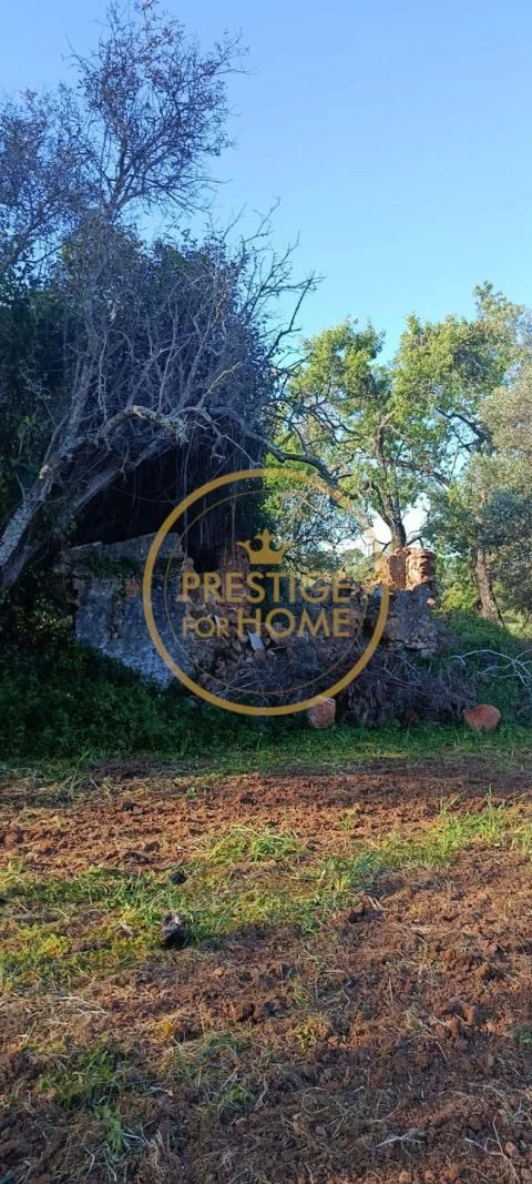 Moradia T2 para Venda em Loule (São Clemente)