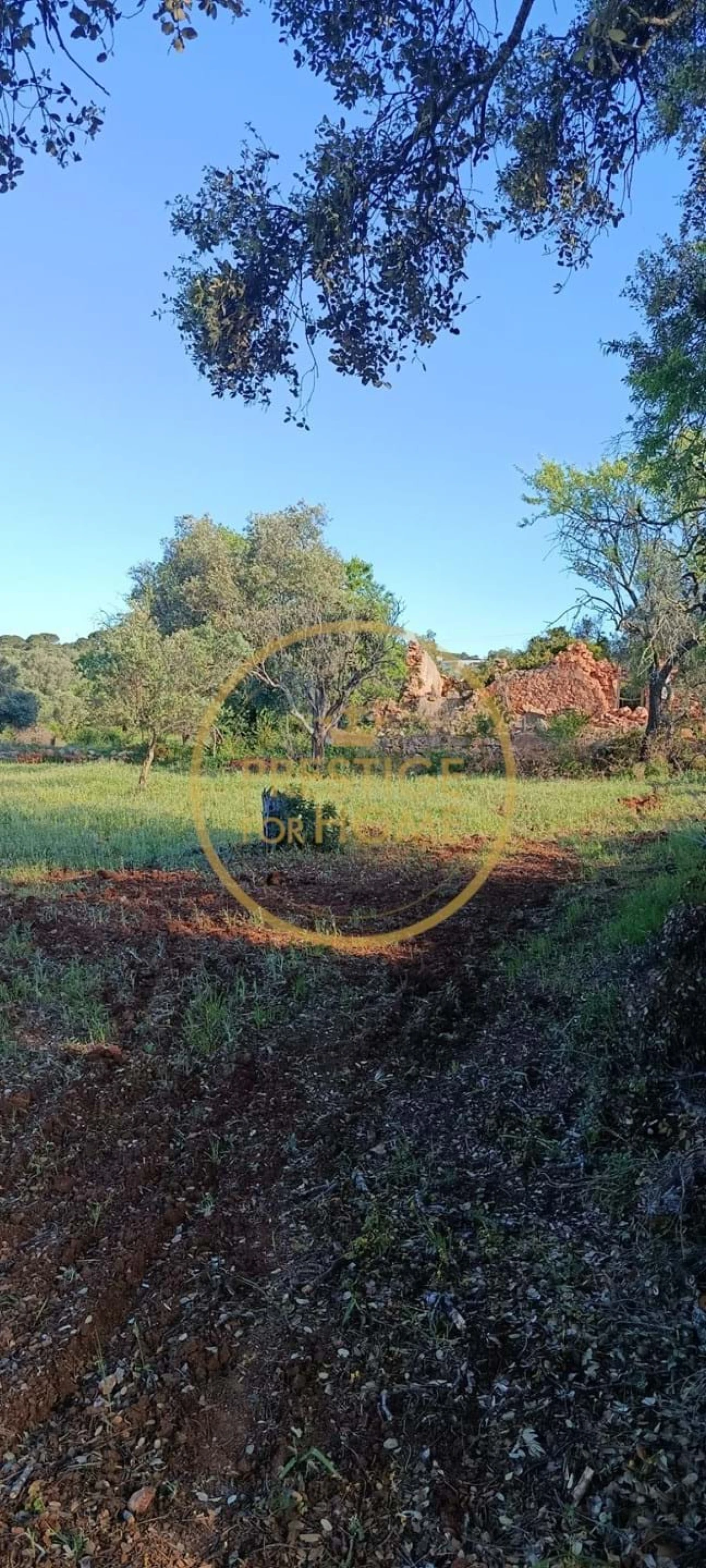 Moradia T2 para Venda em Loule (São Clemente) Foto 9