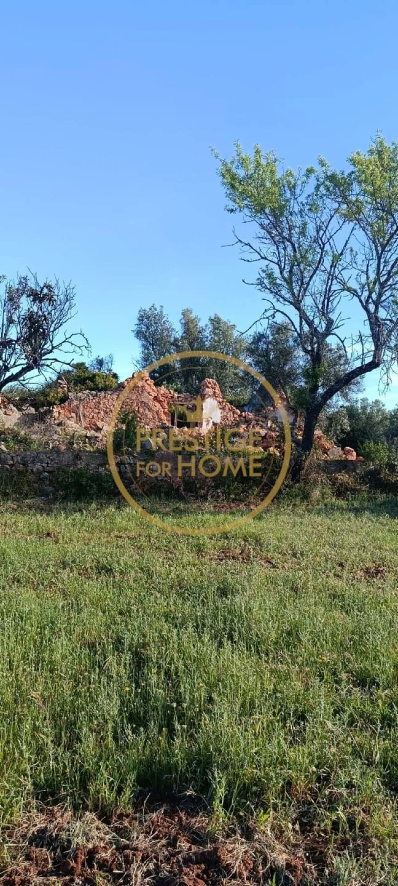 Moradia T2 para Venda em Loule (São Clemente) Foto 11