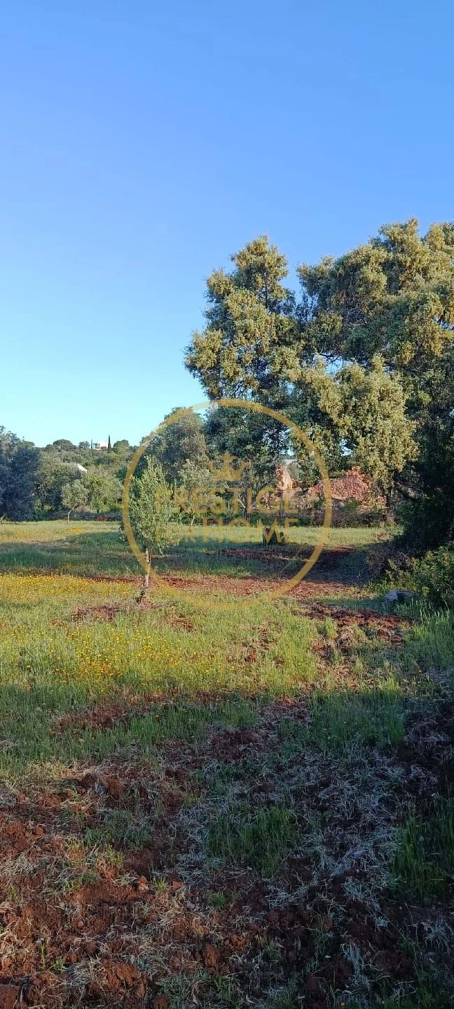 Moradia T2 para Venda em Loule (São Clemente) Foto 8