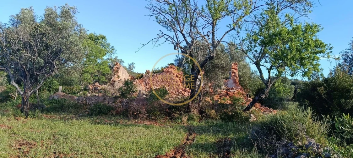 Moradia T2 para Venda em Loule (São Clemente) Foto 5