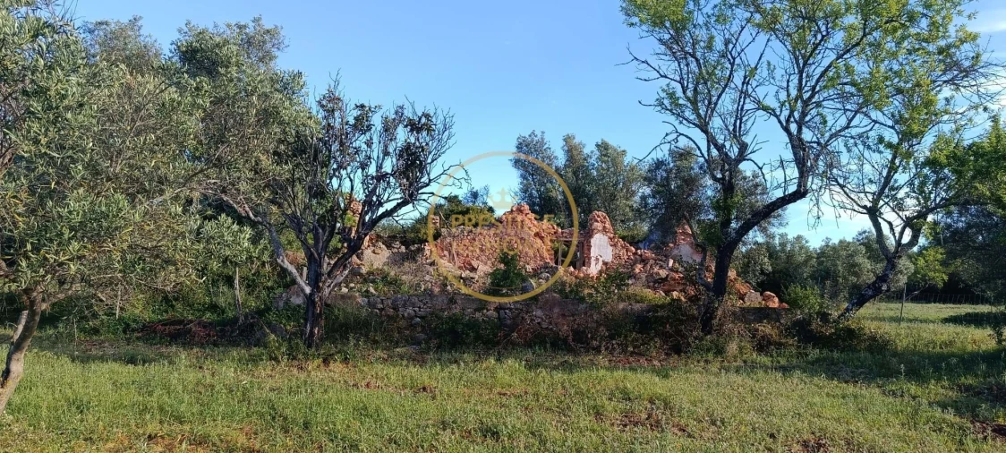 Moradia T2 para Venda em Loule (São Clemente) Foto 6