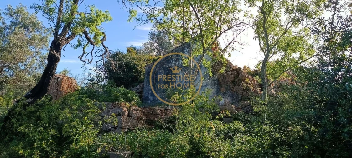 Moradia T2 para Venda em Loule (São Clemente) Foto 3