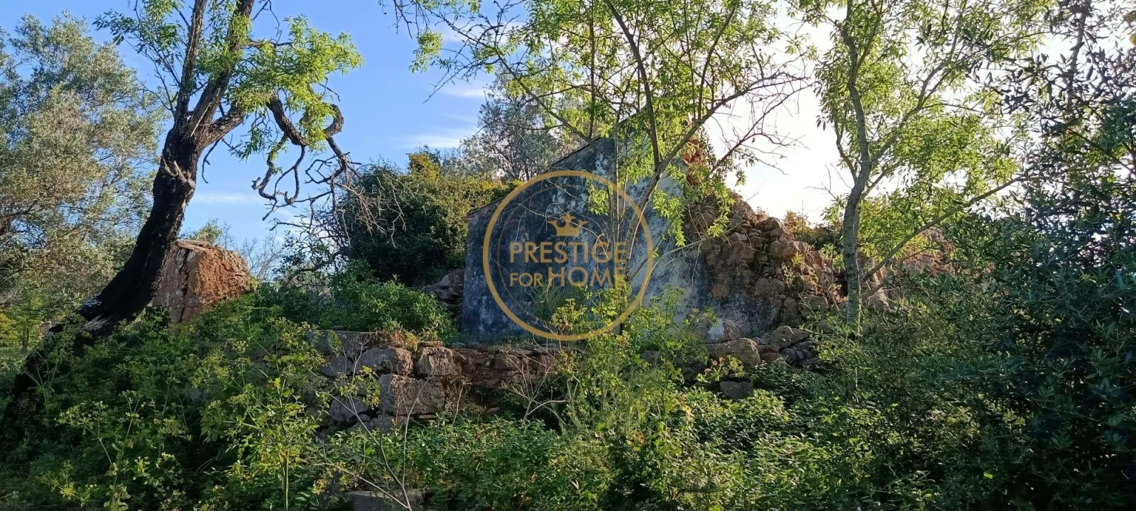 Moradia T2 para Venda em Loule (São Clemente) Foto 3