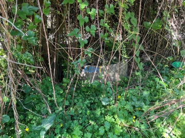 Moradia T3 para Venda em Castelo Branco