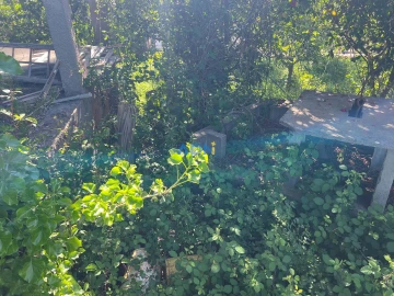 Moradia T3 para Venda em Castelo Branco