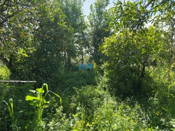 Moradia T3 para Venda em Castelo Branco