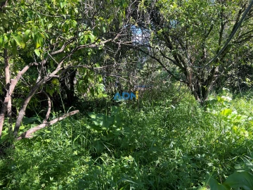 Moradia T3 para Venda em Castelo Branco