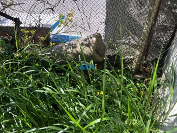 Moradia T3 para Venda em Castelo Branco