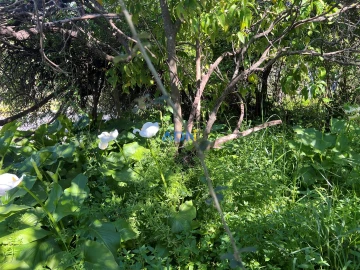 Moradia T3 para Venda em Castelo Branco