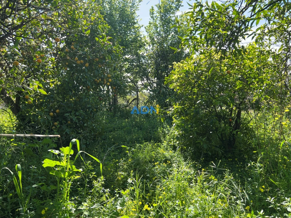 Moradia T3 para Venda em Castelo Branco Foto 43