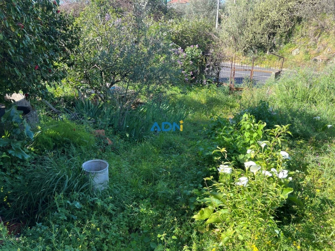 Moradia T3 para Venda em Castelo Branco Foto 35