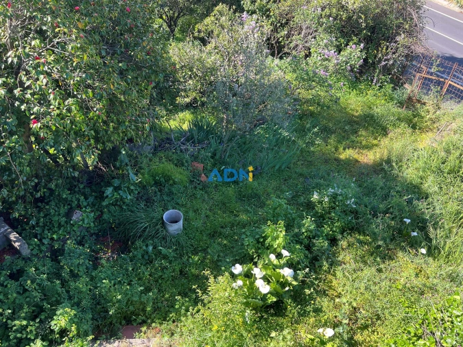 Moradia T3 para Venda em Castelo Branco Foto 23