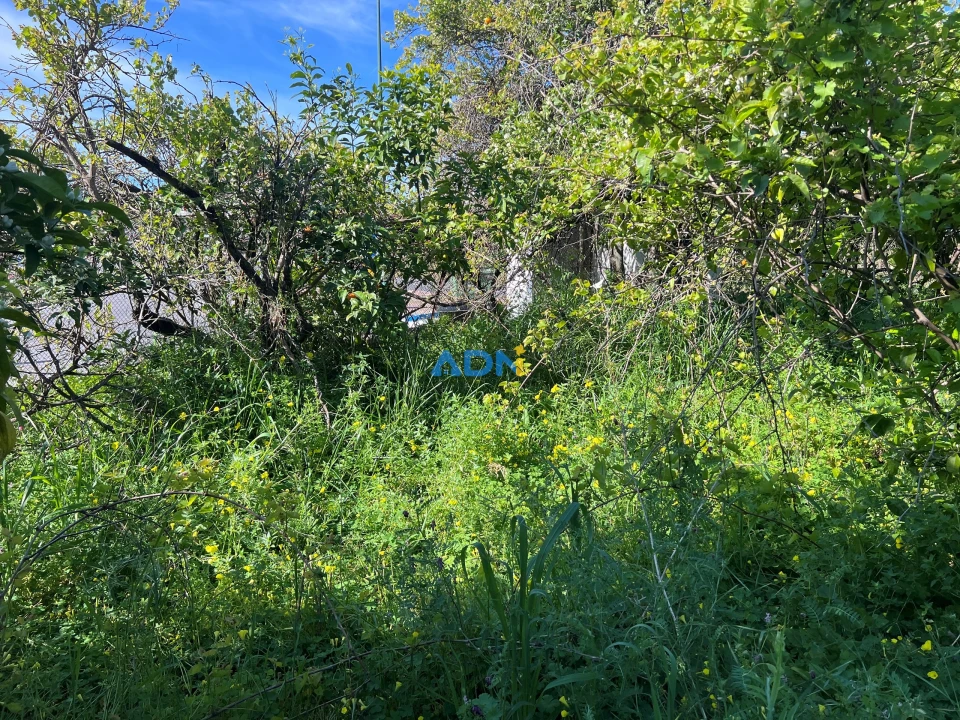 Moradia T3 para Venda em Castelo Branco Foto 46