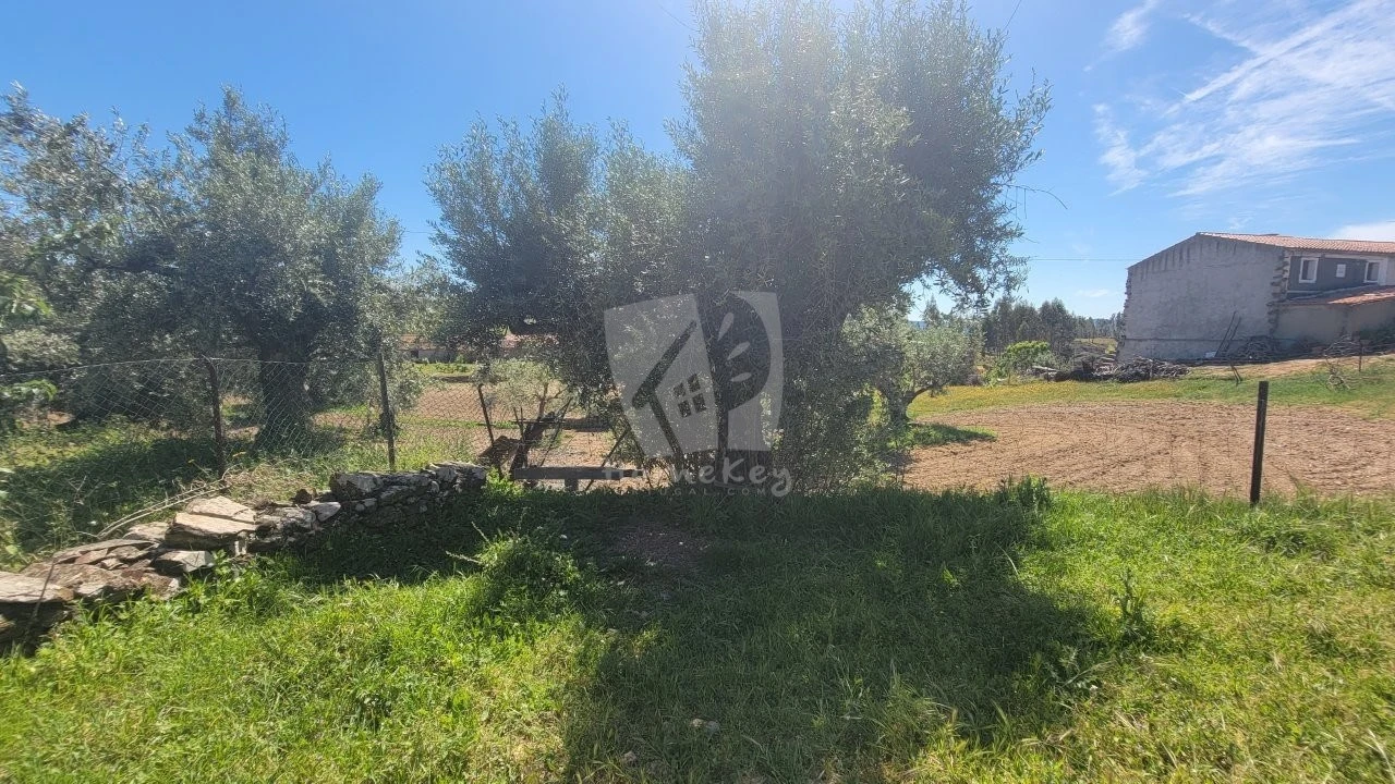 Terreno para Venda em Fratel Foto 25