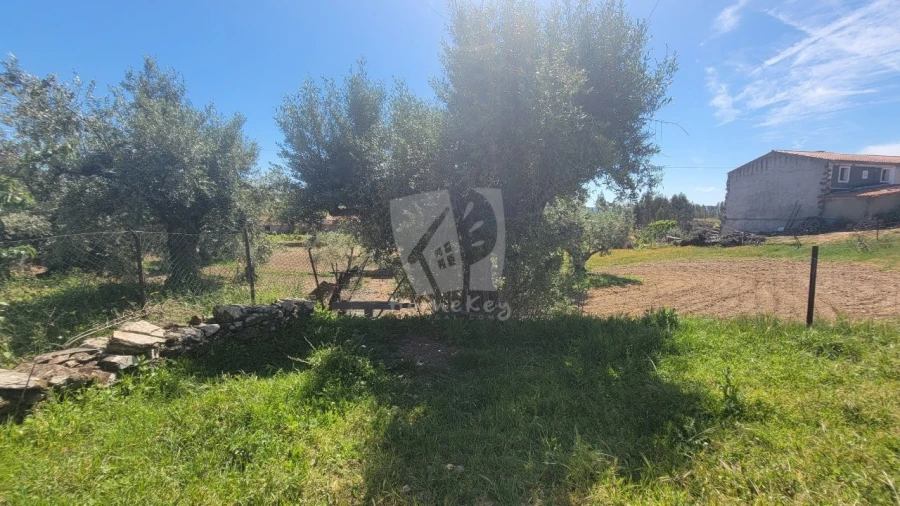 Terreno para Venda em Fratel Foto 25