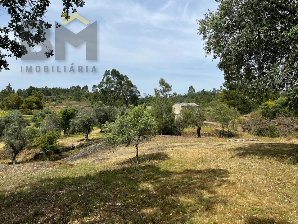 Quinta T0 para Venda em Freixial e Juncal do Campo Foto 7