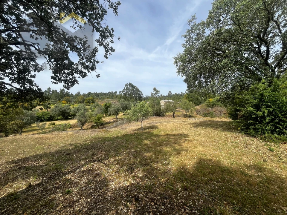 Quinta T0 para Venda em Freixial e Juncal do Campo Foto 6