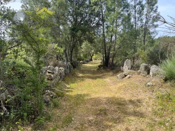 Quinta T0 para Venda em Freixial e Juncal do Campo
