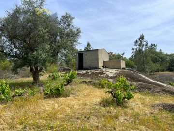 Quinta T0 para Venda em Freixial e Juncal do Campo