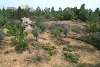 Quinta T0 para Venda em Freixial e Juncal do Campo