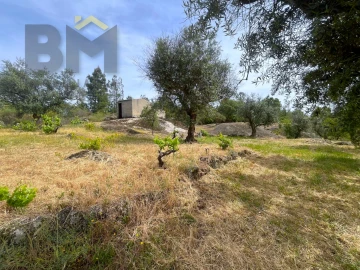 Quinta T0 para Venda em Freixial e Juncal do Campo