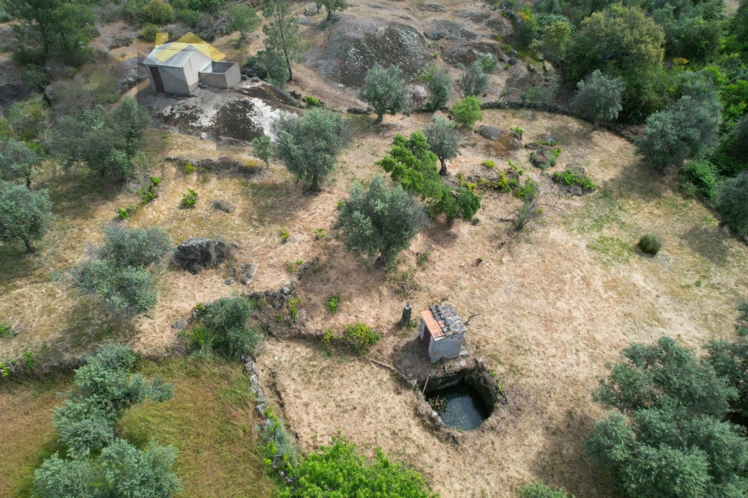 Quinta T0 para Venda em Freixial e Juncal do Campo Foto 24