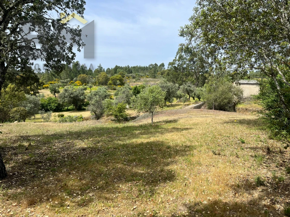 Quinta T0 para Venda em Freixial e Juncal do Campo Foto 5