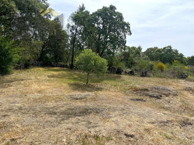 Quinta T0 para Venda em Freixial e Juncal do Campo Foto 8