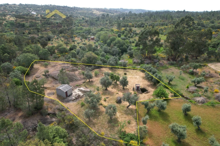 Quinta T0 para Venda em Freixial e Juncal do Campo Foto 3